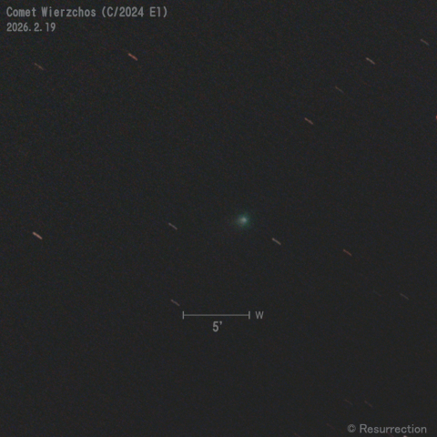 Wierzchos彗星 (C/2024 E1) 2026.2.19