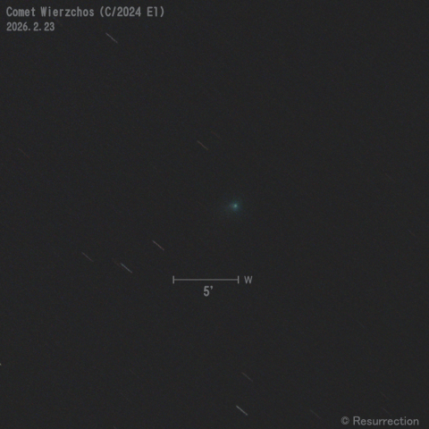 Wierzchos彗星 (C/2024 E1) 2026.2.23