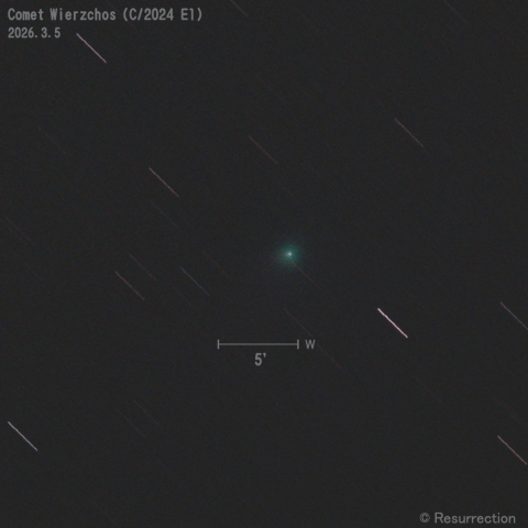 Wierzchos彗星 (C/2024 E1) 2026.3.5