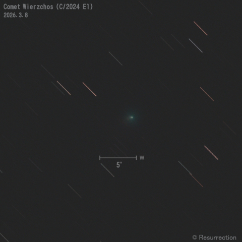 Wierzchos彗星 (C/2024 E1) 2026.3.8