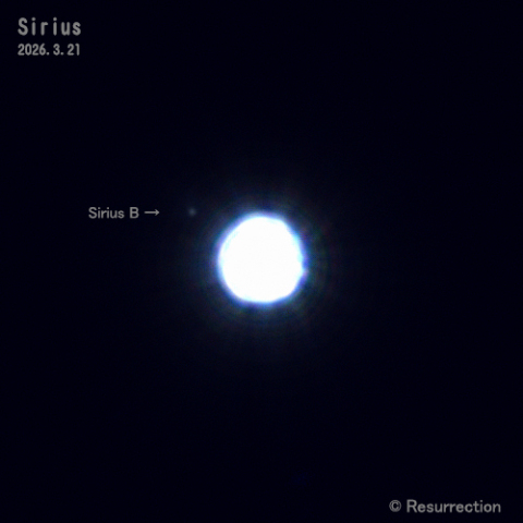 シリウスと伴星 2026.3.21