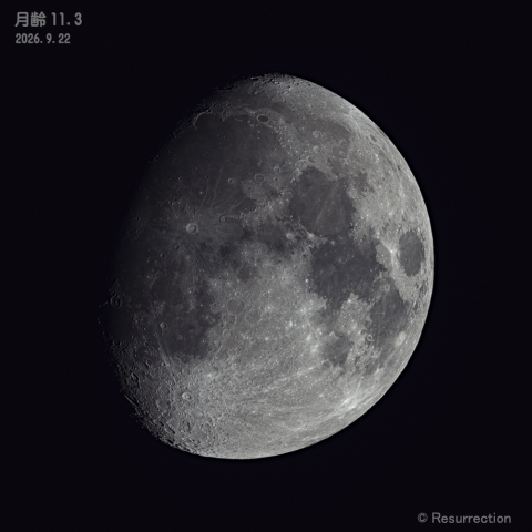 月齢11.3  2026.9.22
