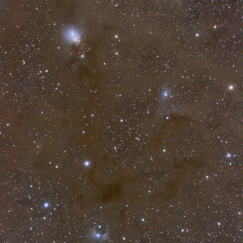 NGC1333～vdB16