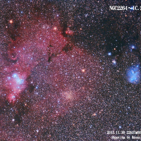 NGC2264～IC2169