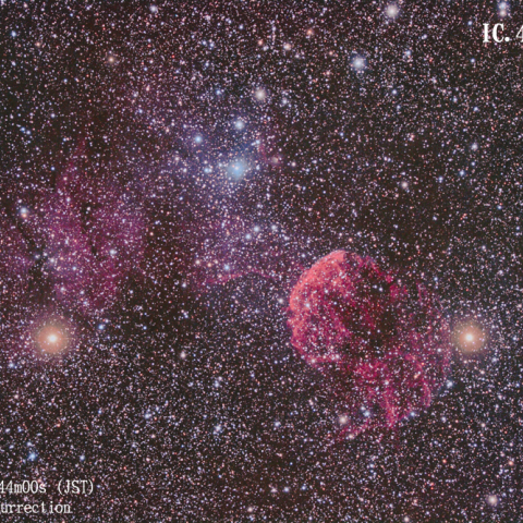 IC443-IC444