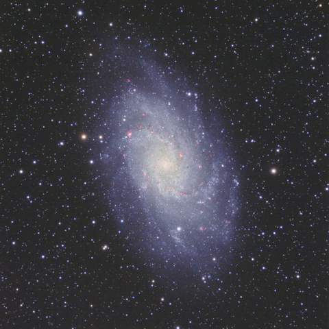 M33