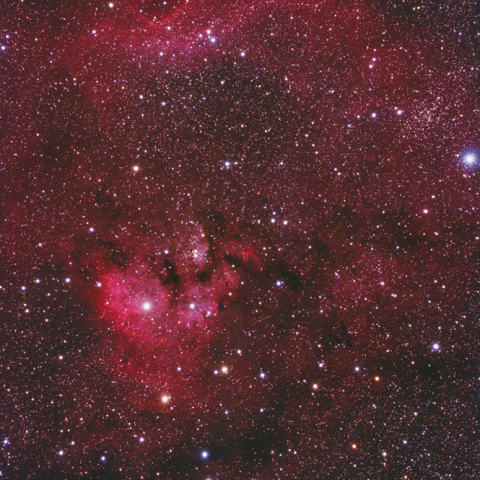 Ced214 & NGC7822
