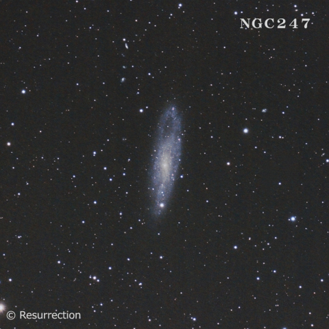 ＮＧＣ２４７