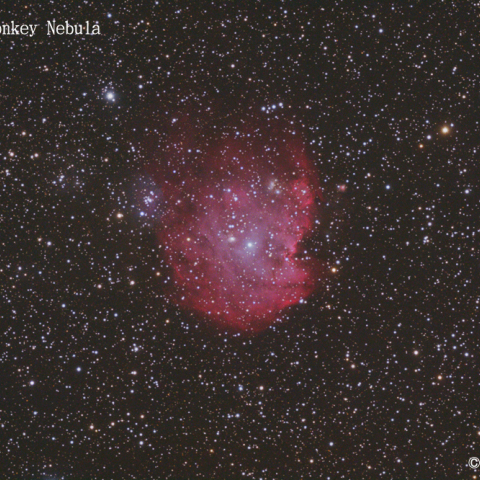 NGC2174-5 モンキー星雲