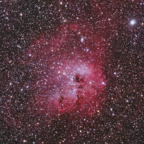 IC410