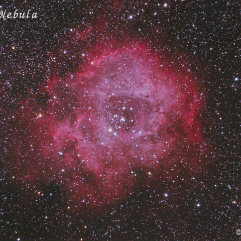 NGC2237　バラ星雲