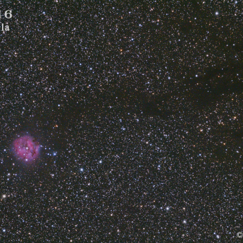 IC5146　まゆ星雲