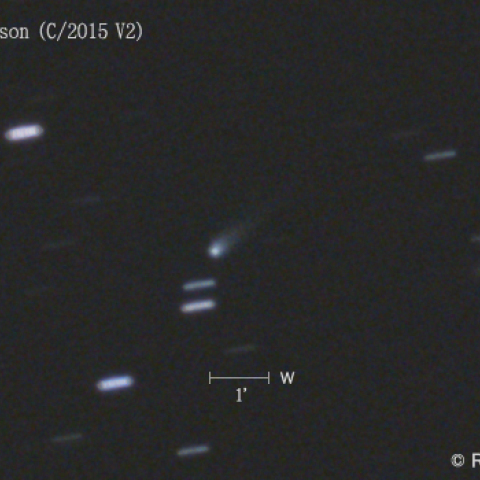 ジョンソン彗星 (C/2015 V2) 11/4