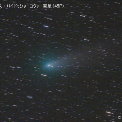 本田・ムルコス・パイドゥシャーコヴァー彗星 (45P) 2/22
