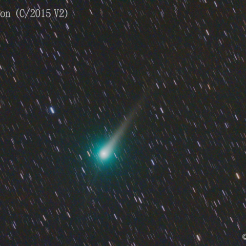 ジョンソン彗星 (C/2015 V2) 5/28 ①