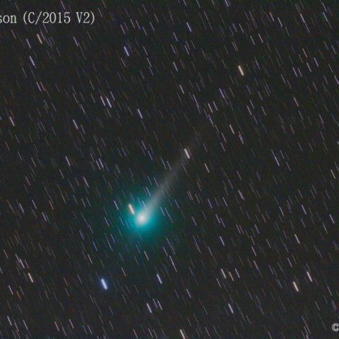 ジョンソン彗星 (C/2015 V2) 5/29