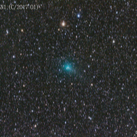 アサシン-ASASSN1彗星 (C/2017 O1) 10/26 ①