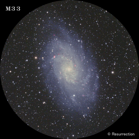 M33