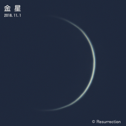 金星 11/1