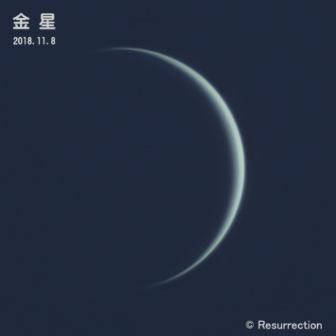 金星 11/8