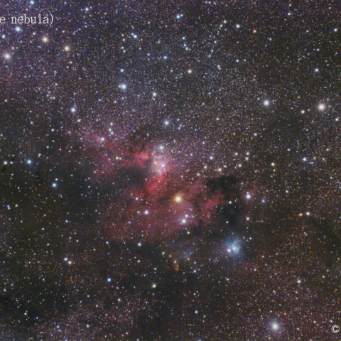 Sh2-155 (Cave nebula)