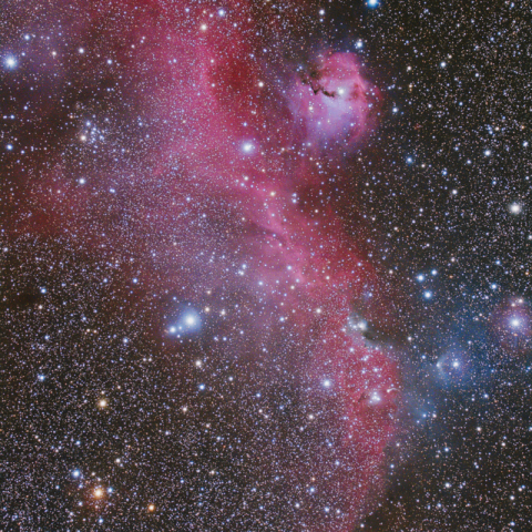 IC2177　Seagull Nebula