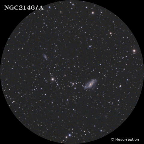 NGC2146