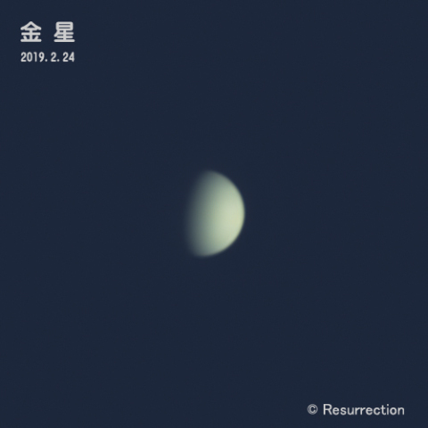金星 2/24