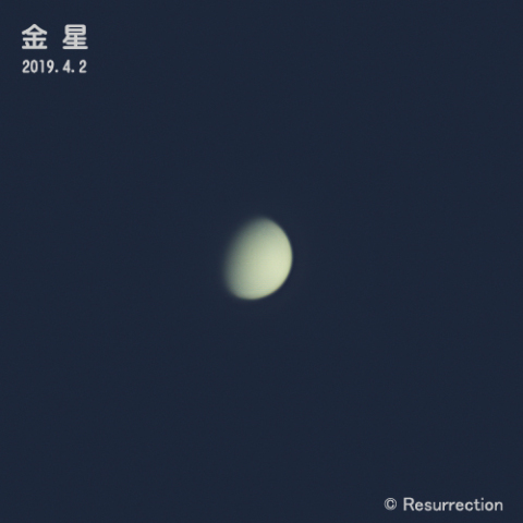 金星 4/2