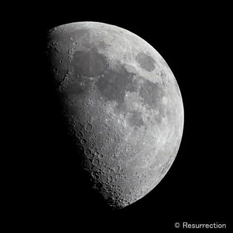 月齢 7.7　2019.7.10