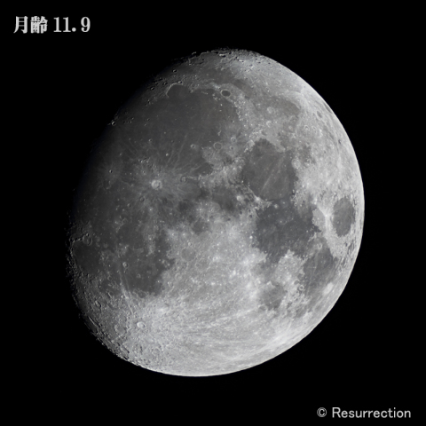 月齢 11.9　2019.12.8