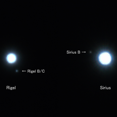 リゲルとシリウスの伴星 2020/2/24
