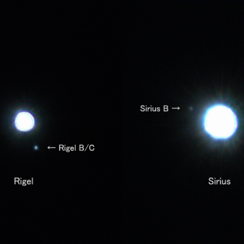 リゲルとシリウスの伴星 2021/2/6