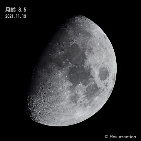 月齢8.5　2021.11.13