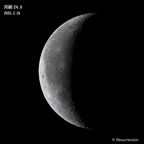 月齢 24.6　2022.2.26