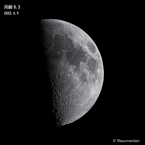 上弦過ぎの月　月齢 8.3　 2022.4.9
