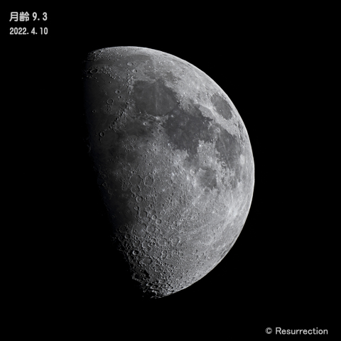十日夜の月　月齢 9.3　 2022.4.10