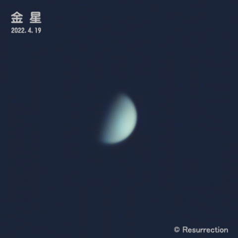 金星 2022.4.19