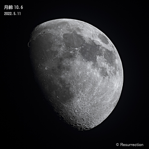 月齢10.6　2022.5.11