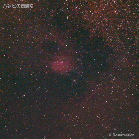 バンビの首飾り