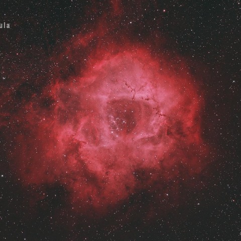 NGC2237 バラ星雲