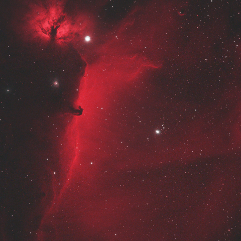 NGC2024～B33馬頭星雲