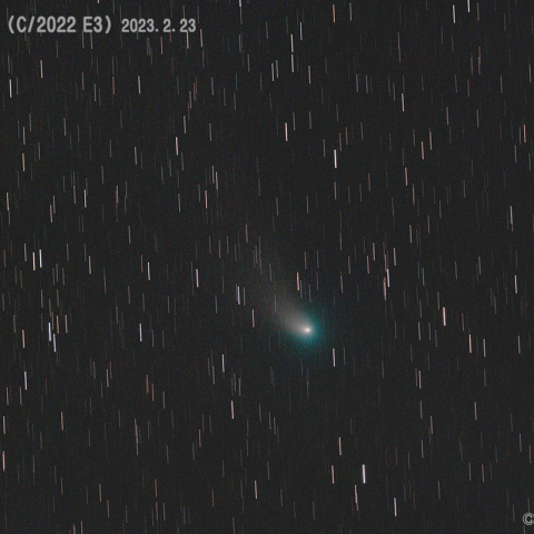 ZTF彗星 (C/2022 E3) 2023.2.23