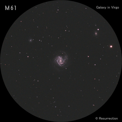 M61
