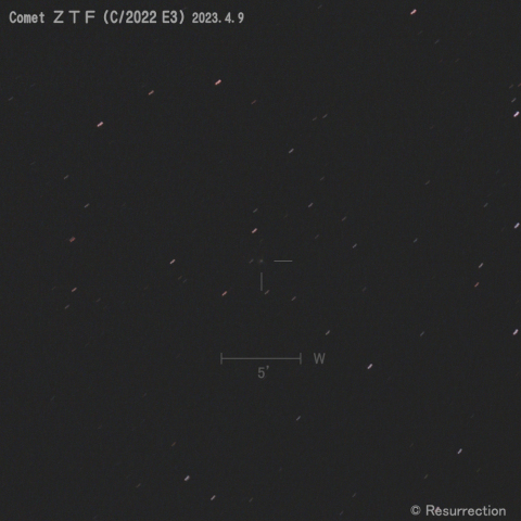 ZTF彗星 (C/2022 E3) 2023.4.9