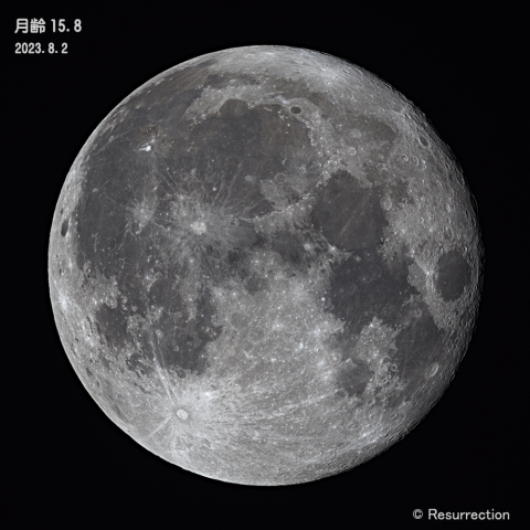 月齢15.8　2023.8.2