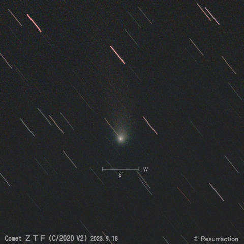 ZTF彗星 (C/2020 V2) 2023.9.18