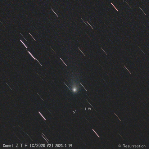 ZTF彗星 (C/2020 V2) 2023.9.19