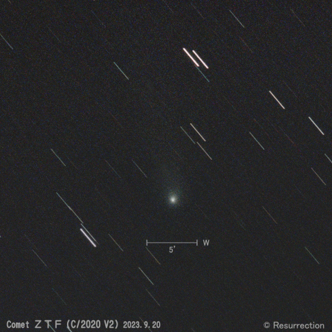 ZTF彗星 (C/2020 V2) 2023.9.20