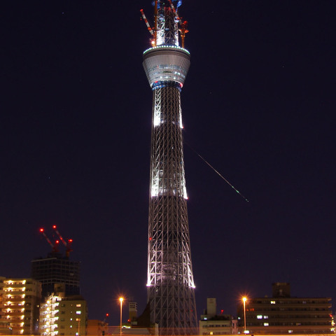 Ursids & Xmas Sky Tree